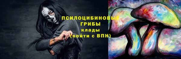COCAINE Гусь-Хрустальный