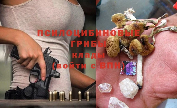 тгк Гусиноозёрск