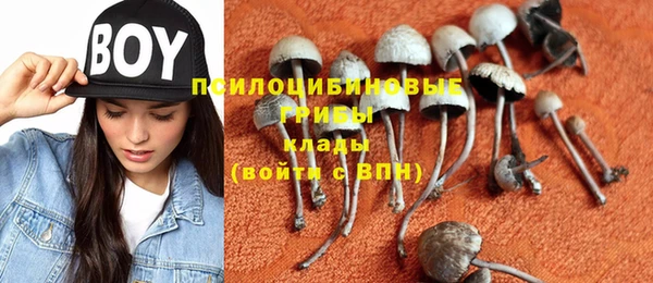 тгк Гусиноозёрск