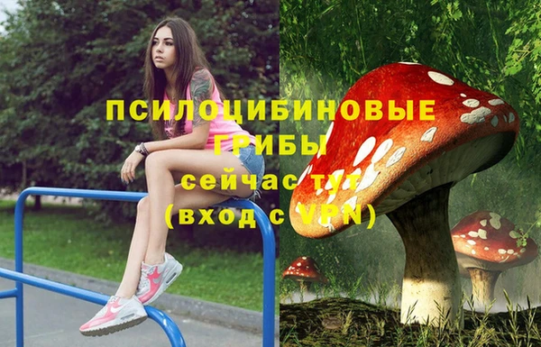 COCAINE Гусь-Хрустальный