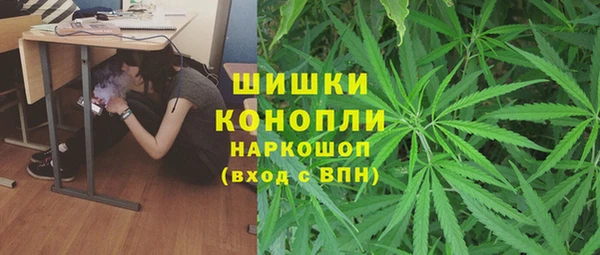гашик Гусев
