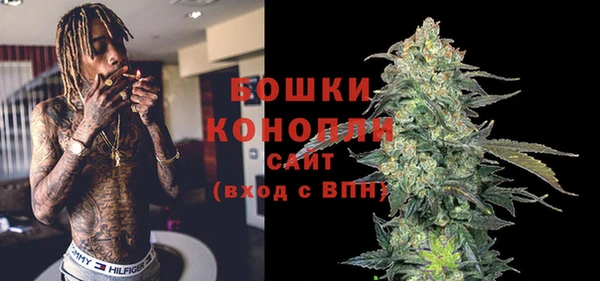 мдпв Дмитров